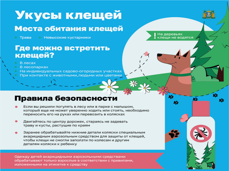 Риск укусов клещей.